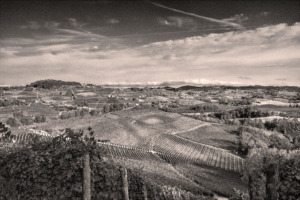 The Vinum Vineyards La Morra Barolo