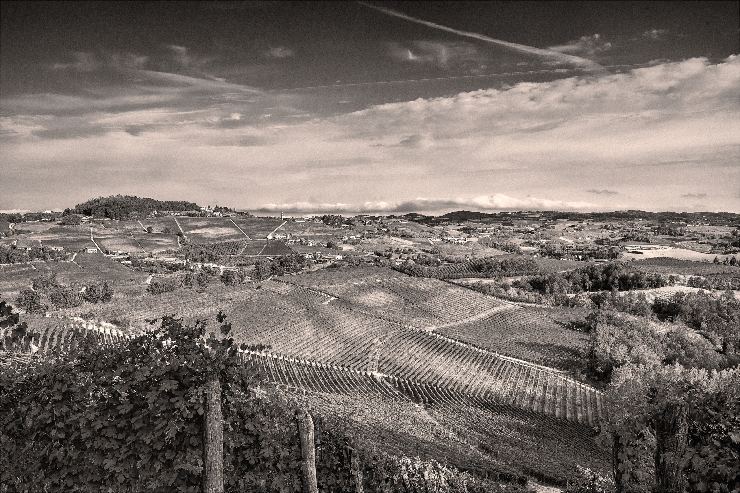 The Vinum Vineyards La Morra Barolo